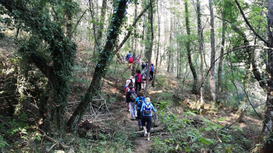 , Ορειβατικός Καλαμάτας: Εξόρμηση στην Βλαχοκερασιά και στο δάσος της Σκιρίτιδας